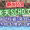 【新NISA】楽天SCHDで取り崩し投資5年目以降の空き枠埋める戦略 - YouTube